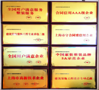 针对分歧项目类型（如老房翻新、局部微